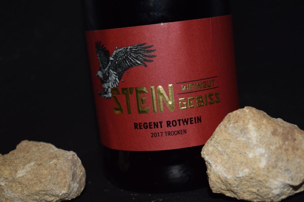 Ferienhaus & Weingut Am Steingebiss Billigheim-Ingenheim 外观 照片