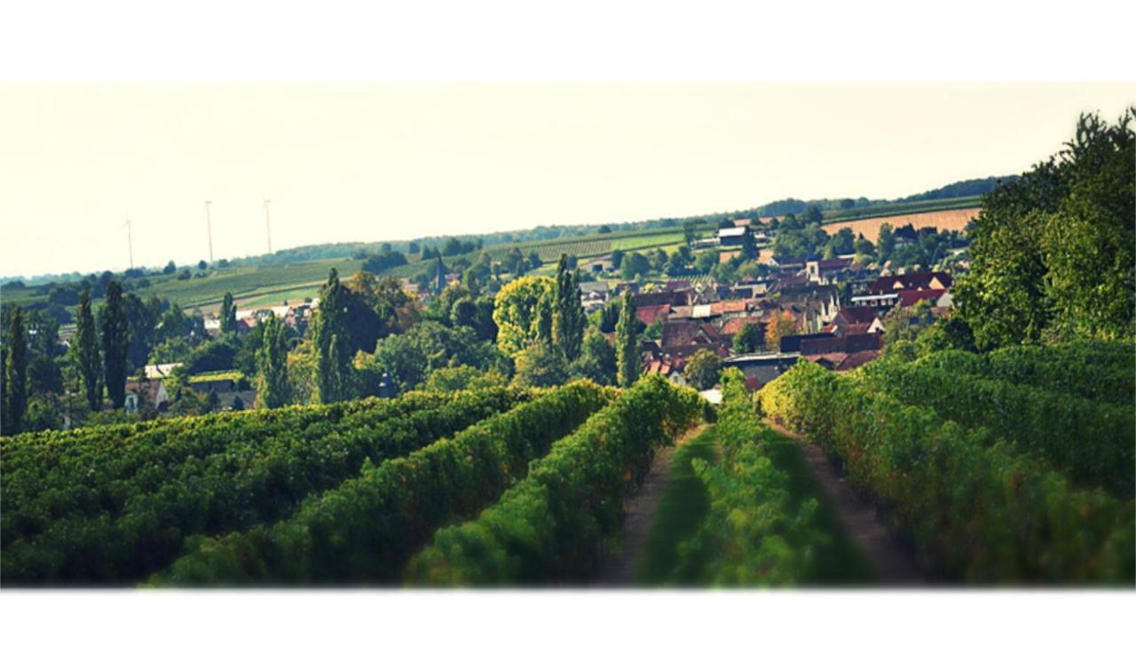 Ferienhaus & Weingut Am Steingebiss Billigheim-Ingenheim 外观 照片
